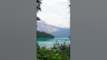 وَأُفَوِّضُ أَمۡرِيٓ إِلَى ٱللَّهِۚ || سورة غافر || مشاري العفاسي #اجر_لي_ولك #قرآن 🤎🌿.