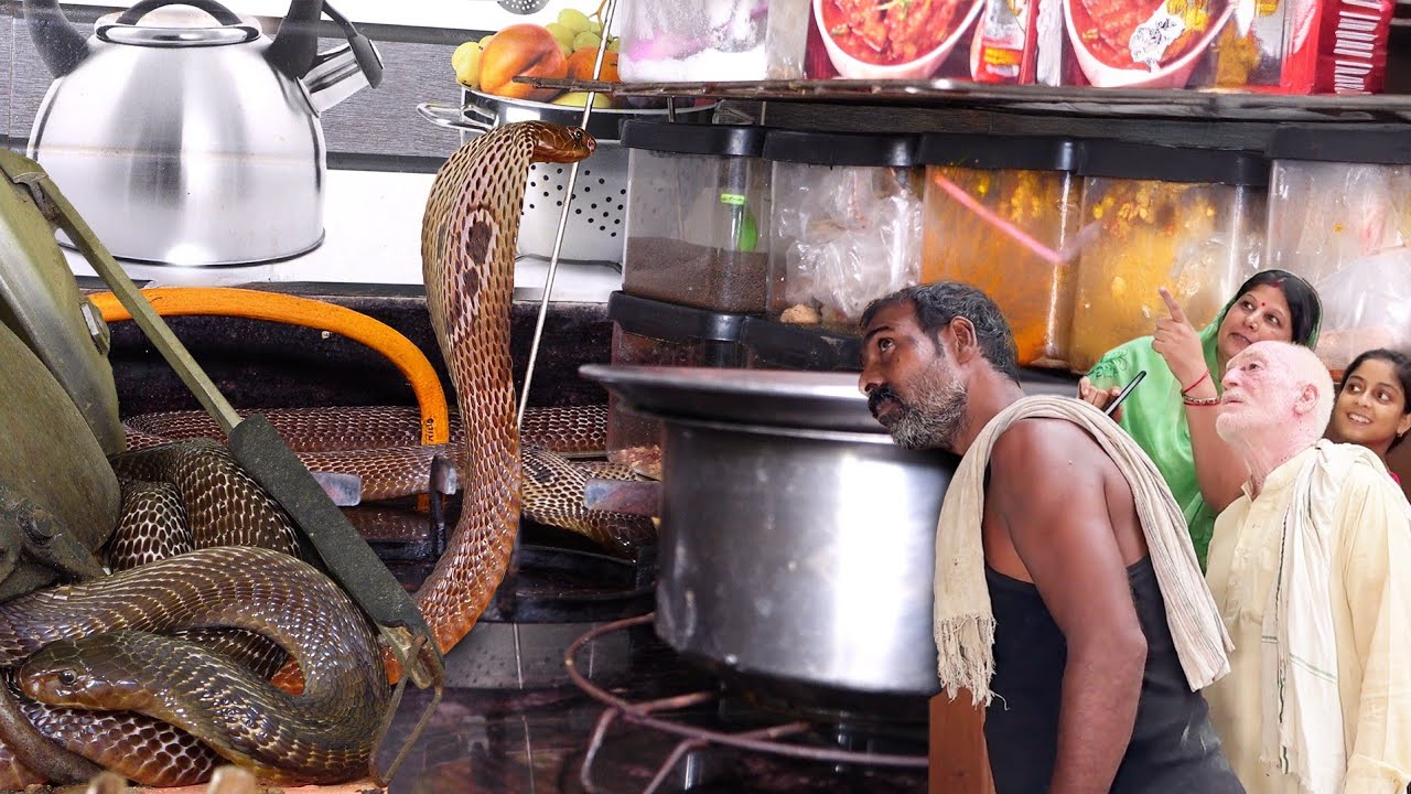 इस विडियो को देखिए कहीं आपके रसोई घर में ये जहरीला नाग घात लगाए ना बैठा हो, नही तो फिर क्या होगा!😱