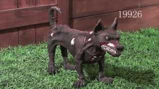Canine Zombie 19926