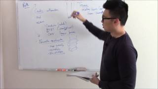 USMLE GIT 4: Pathology of the Esophagus (GERD and more)