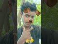#trending #shakibkhan  #newsong #song #love #music #spotify #catvideos #funny #unfrezzmyaccount