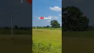 Harrai