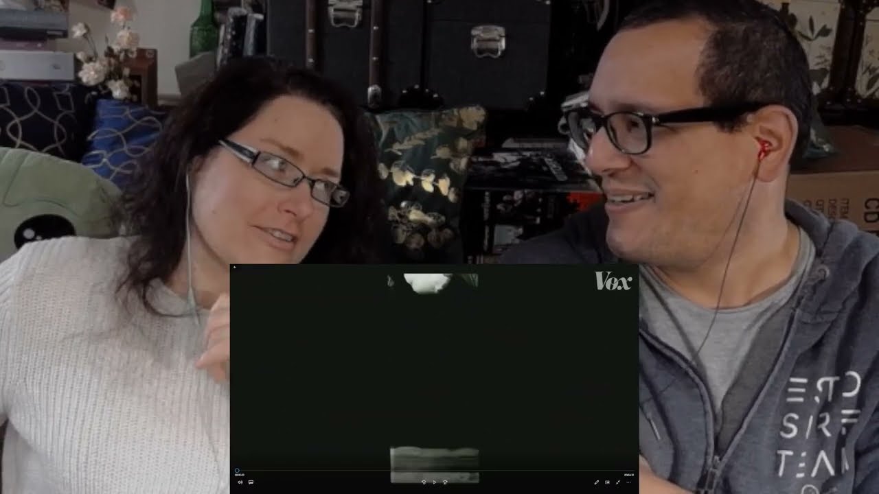 Why a cat always lands on its feet - European and American React