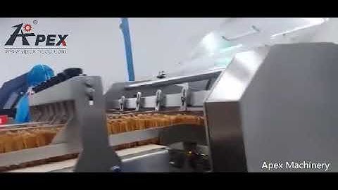 Biscuit /wafer/cookie/sandwiching Production Line Volumetric Tray Loading System -APEX MACHINERY