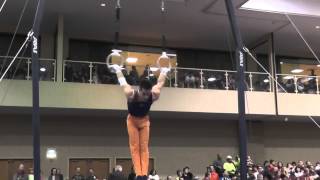 CJ Maestas - Still Rings - 2014 Winter Cup Challenge Finals