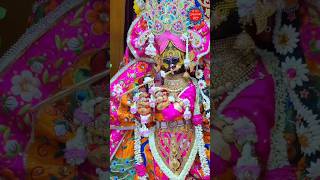 #radhavallabh #vrindavan #barsana #sanatan #bhajanmarg #shyam #yt #ytshorts #shorts #trending #viral