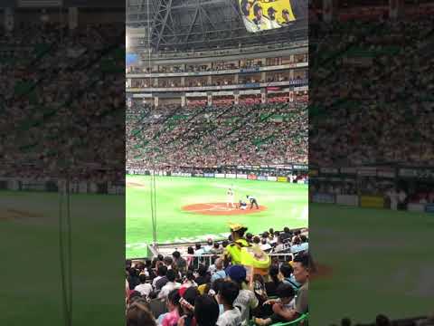 ２０１９年８月２１日柳田復帰第1打席