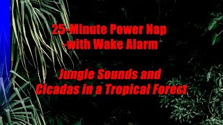 25 minute Nap with Alarm - Jungle Sounds and Cicadas in a Tropical Forest screenshot 1