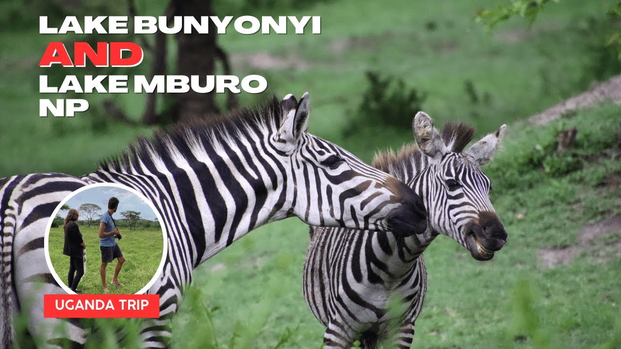 Walking next to wild animals in Uganda! Our first walking safari