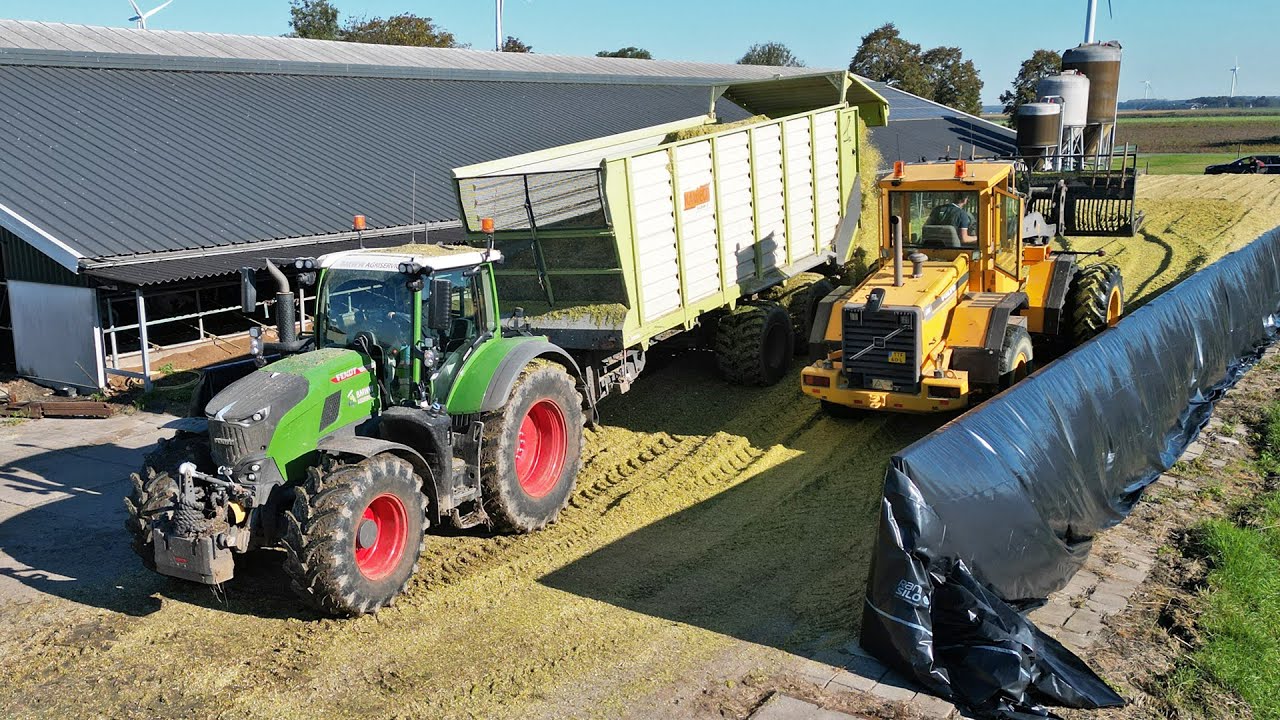 Mais Silage | Fendt Katana 650 + Fendt 728 | BMWW Agriservice | 2024