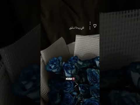 قوليلي مين   بدون موسيقى