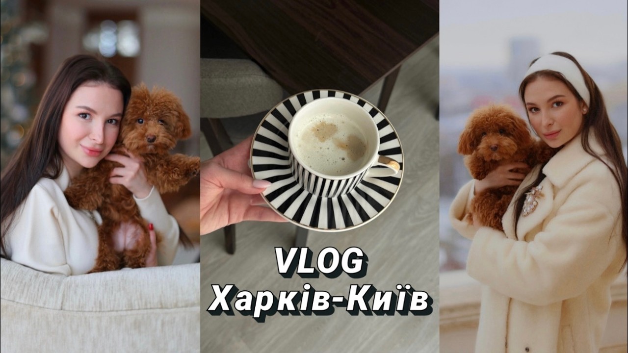 VLOG Харкiв - Київ | Зробили стерилiзацiю моїй собацi |  Перестановка | Покупки для дома