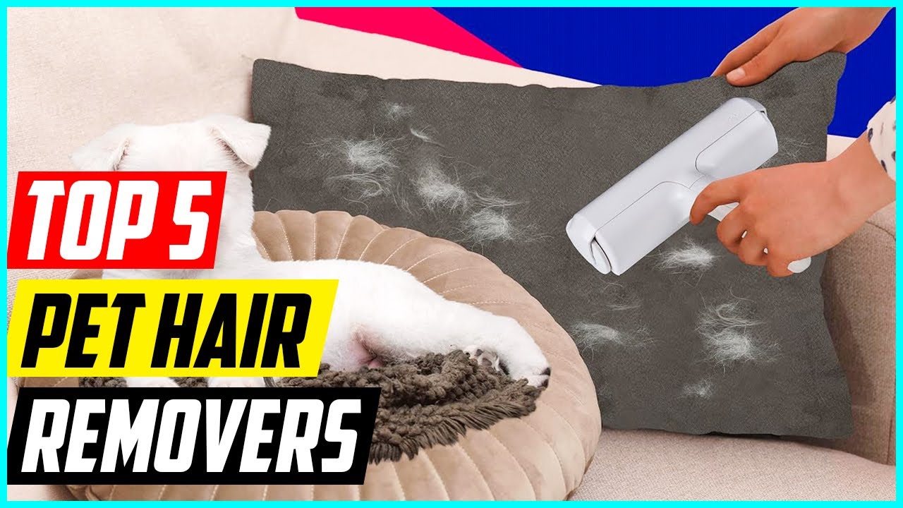 5 Best Pet Hair Removers for 2026