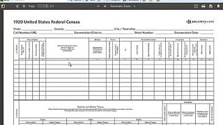 Processing the US 1920 Federal Census