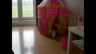 DSCN2215.AVI