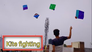 Kite cutting !! Kite fighting !! Kites !!