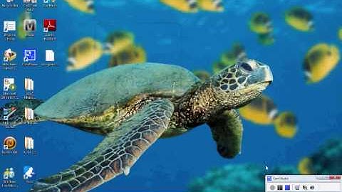 How To Mod COD4/MW2 Campaign With A USB Flash Drive