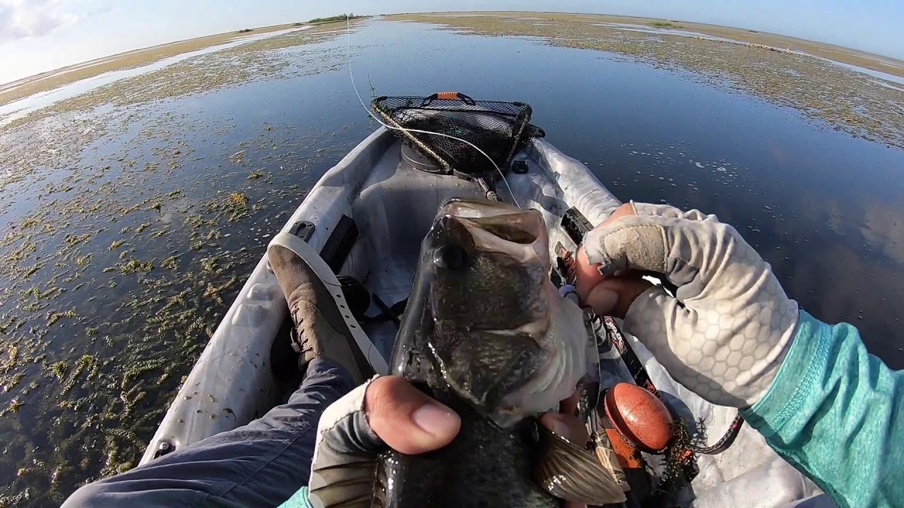 Fellsmere Fishing for Fun YouTube