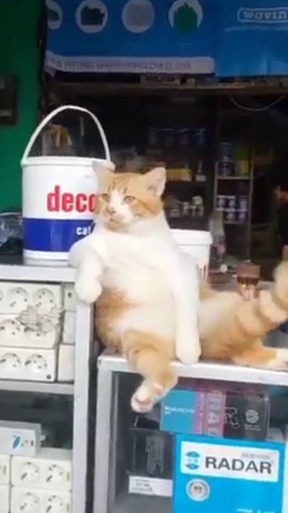 Butuh Ketenangan Hidup Cing #youtubeshorts #shortvideo #artist #share