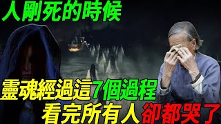 原來當人剛死的時候，靈魂要經歷這7個過程，看完所有人都哭了！# 聽佛 by 聽佛 8,336 views 6 days ago 26 minutes