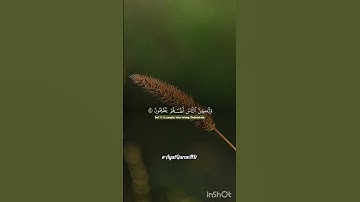 تلاوة خاشعة تريح القلب #قرآن  #تلاوة_خاشعة #المصحف #tilawati354 #اكسبلور