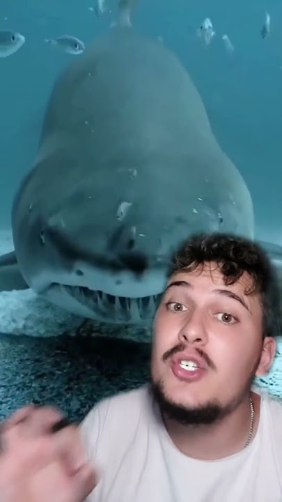 Taualnt Abazaj Fakte #343 | Arsyeja Pse Vetem 5% e Oqeanit Eshte e ZBULUAR!