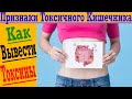 Признаки ТОКСИЧНОГО Кишечника! Как вывести ТОКСИНЫ?!