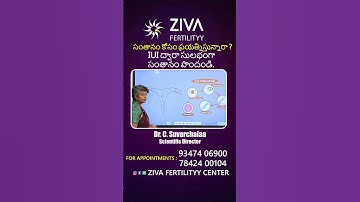 IUI ద్వారా సులభంగా సంతానం పొందండి || IUI Step By Step || Dr C Suvarchalaa || Ziva Fertilityy