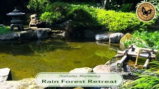 Nature´s Harmony - Natures Harmony : Rain Forest Retreat