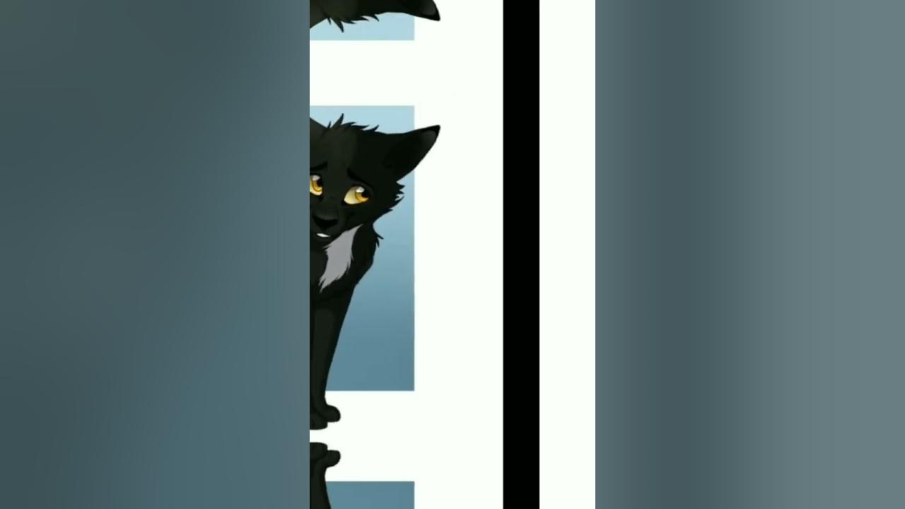 Текст песни коты воители. Коты воители бич пропавший воитель. Коты воители приколы. Коты воители должности и имена. Текст песни коты воители.