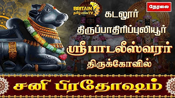 🔴LIVE - கடலூர் பாடலீஸ்வரர் திருக்கோவில் பிரதோஷ சனி வழிபாடு | Sani Pradhosam Padaleeswarar Temple