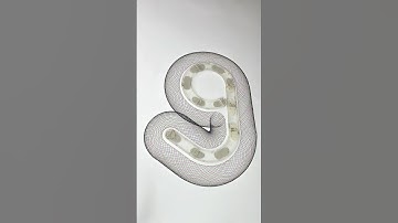 Not CGI… Just Perfect Hand-Drawn Loops 🎯 #OddlySatisfying