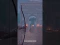 AC: Origin's Caesar and Bayek #gaming #shorts #assassinscreedorigins #elephant #caesar