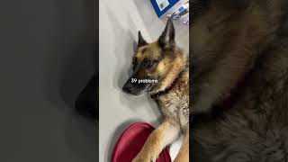 Nala’s easing into the year.