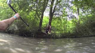 wolf run june