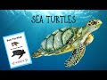 Sea turtles  read aloud simple science facts for kids