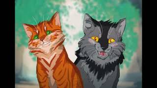 Greypaw And Firepaw Edit As Usual, Not My Arts