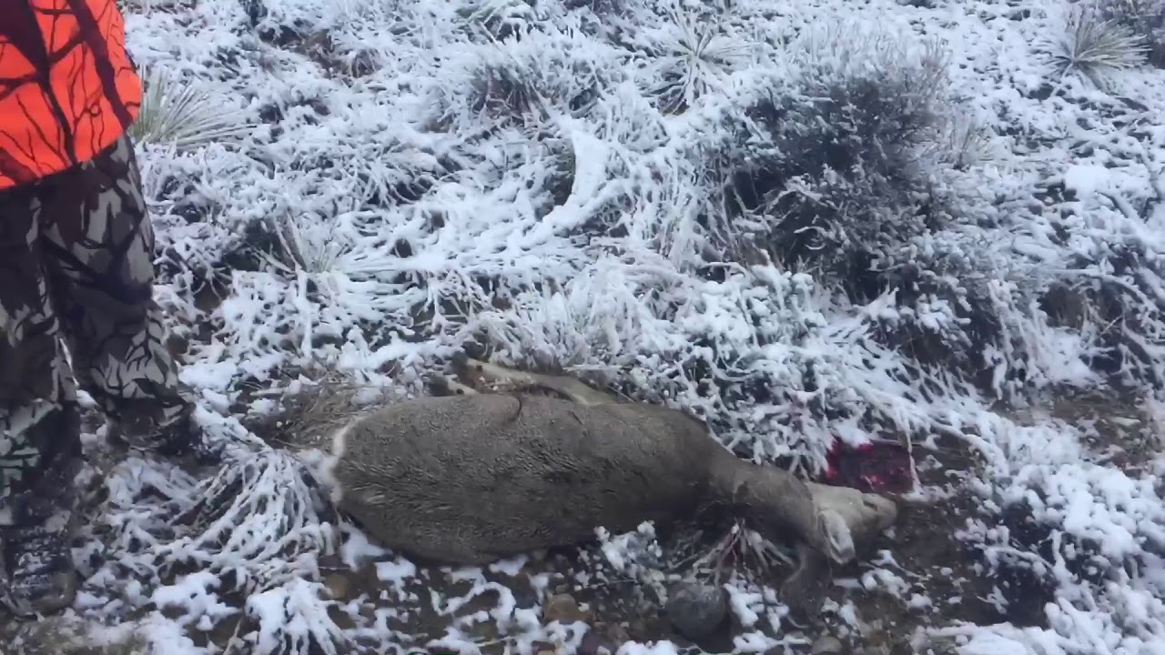 Montana hunting- General hunting season - YouTube