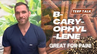 The Only Terpene That Acts As A Cannabinoid: β-Caryophyllene #shorts