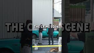 The Danville Pawn Shop Murders