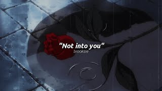 Brooksie - Not into you [𝙎𝙡𝙤𝙬𝙚𝙙 + 𝙍𝙚𝙫𝙚𝙧𝙗 + 𝙇𝙮𝙧𝙞𝙘𝙨] \