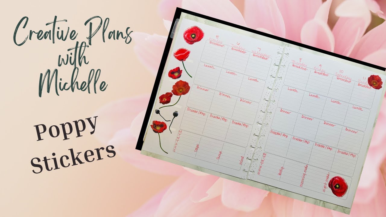 Plan with Me | Big Teacher | Wellness | Poppy Stickers