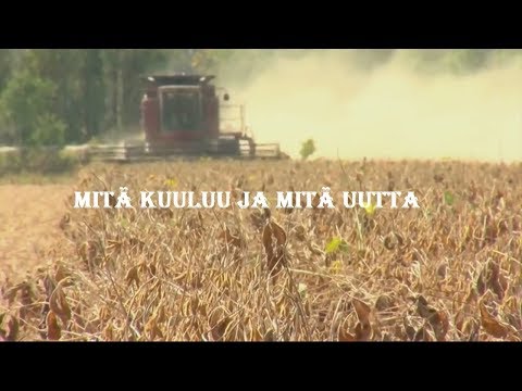 Video: Mitä ovat äänitteen sanat?