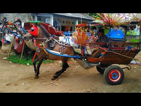 Mark Delman - Pode Bem Prod by.Felino (Video Official)