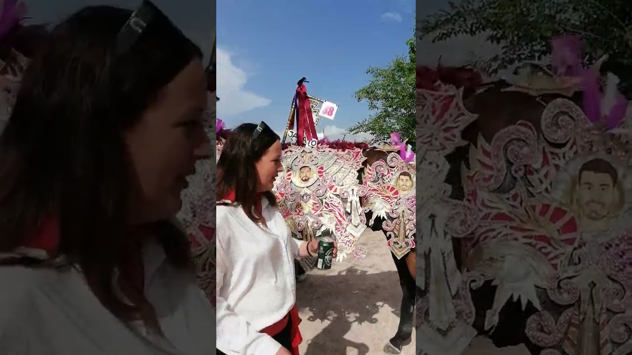 ®Caballos Del Vino Caravaca De La Cruz® #2025