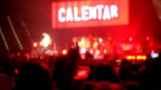 Shakira Gordita ft Calle 13 Live Torino