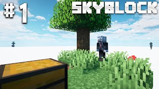 Minecraft Skyblock: UUSI SEIKKAILU! #1