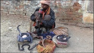 Nepal Ka Madari India Ka Sanp ll Street Performer &amp; Cobra Snake Show.