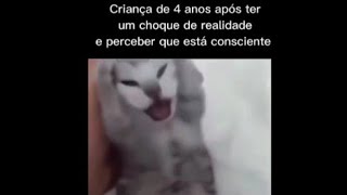 shitposts e memes compilado de qualidade #9