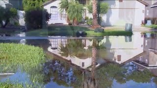 Crews in Longwood start work to fix concrete-filled drainpipe